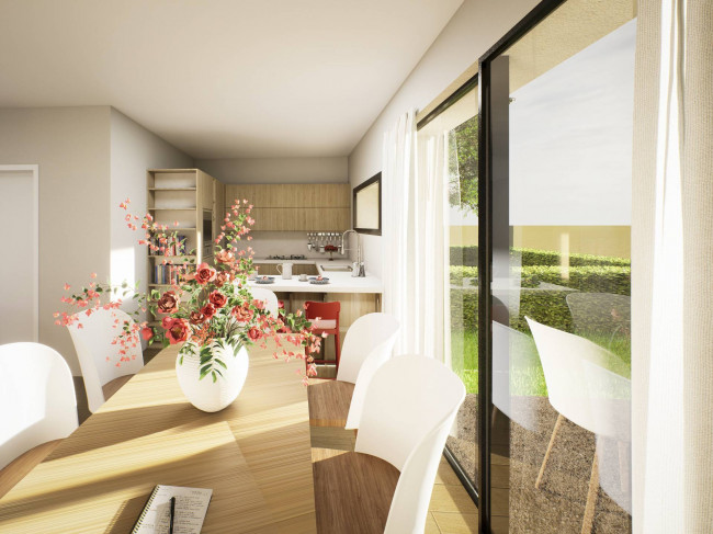 Schiera di testa in vendita a San Biagio di Callalta