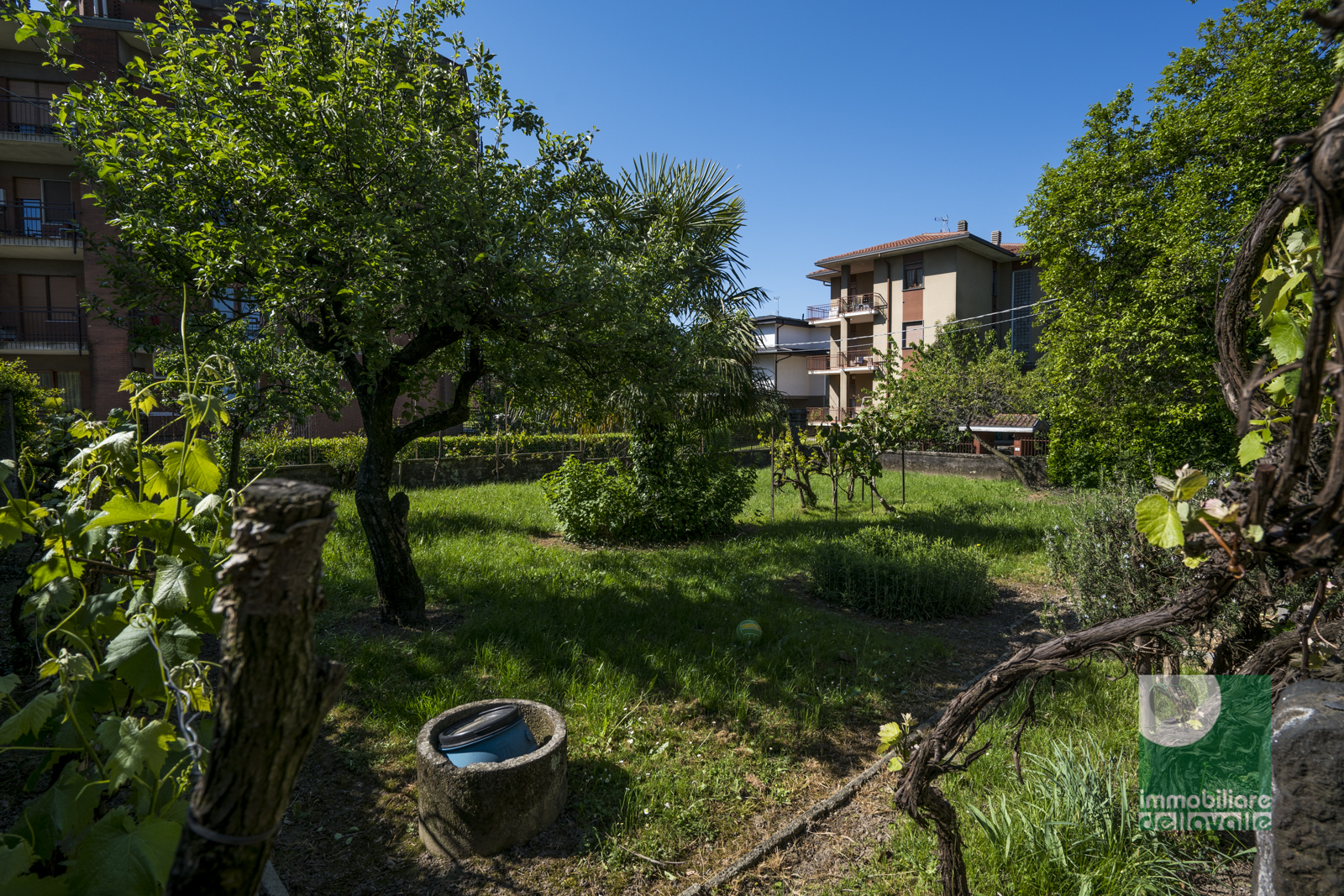 Villa OLEGGIO vendita  vicinanze centro  Immobiliare Dellavalle