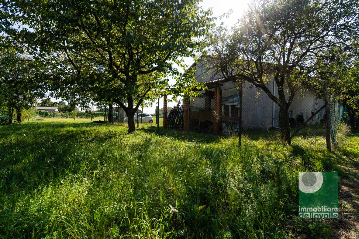 Rustico - Cascina OLEGGIO vendita    Immobiliare Dellavalle