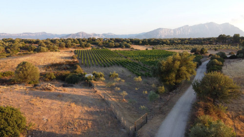 Terreno agricolo in vendita a Dorgali (NU)