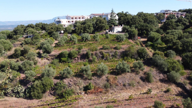 Terreno agricolo in vendita a Dorgali (NU)