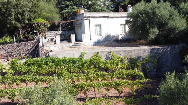 Terreno agricolo in vendita a Dorgali (NU)