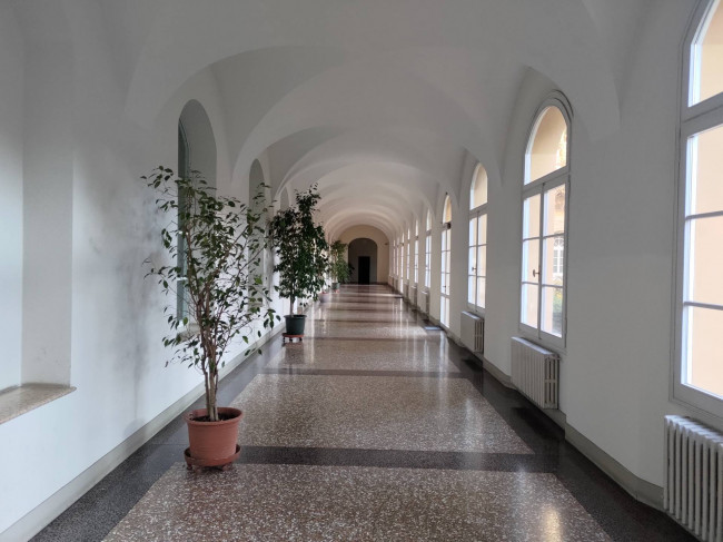 Appartamento in Affitto a Bologna