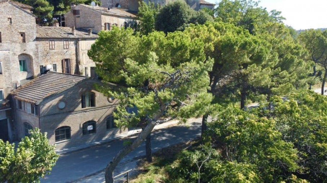  for sale in Campofilone