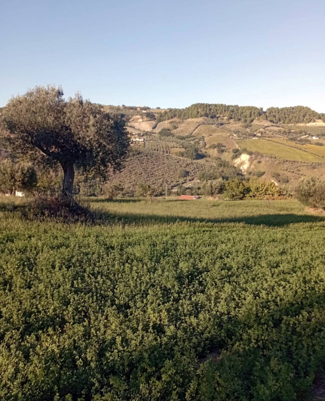 Terreno Agricolo in vendita a Monteprandone