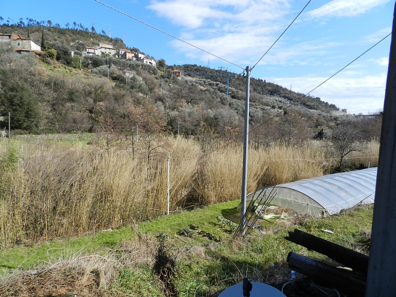 Appartamento GIUSTENICE vendita    Immobiliare Favali