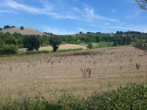 Terreno Agricolo in Vendita a Sant'Omero