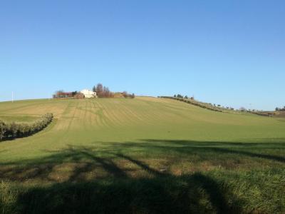 Terreno Agricolo in Vendita a Sant'Omero