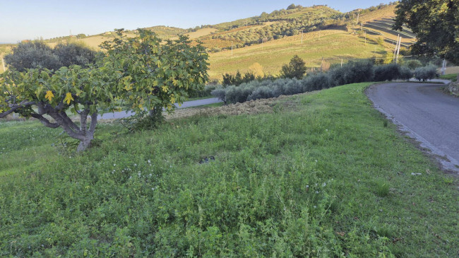 Terreno edificabile in vendita a Tortoreto