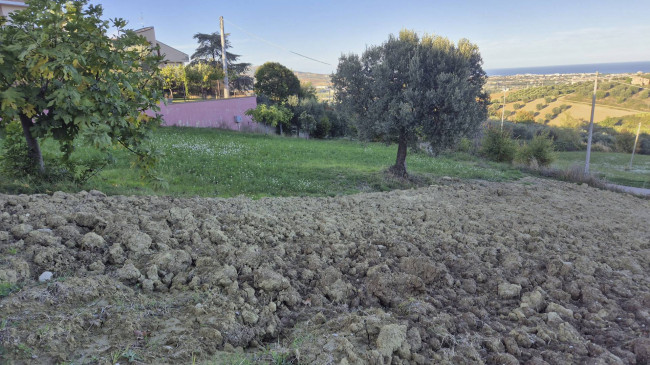 Terreno edificabile in vendita a Tortoreto