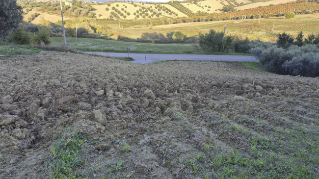 Terreno edificabile in vendita a Tortoreto