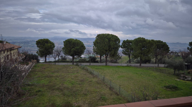 Appartamento in vendita a Controguerra