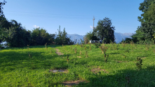 Terreno edificabile residenziale