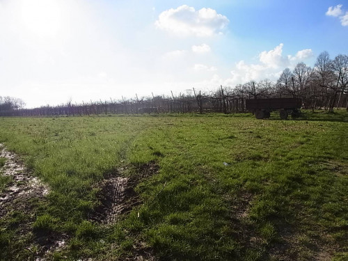 Terreno edificabile residenziale