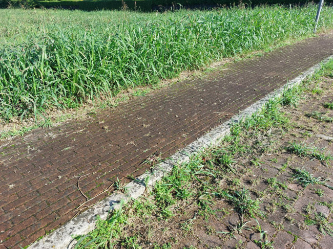 Terreno edificabile in vendita a Ponzano Veneto (TV)