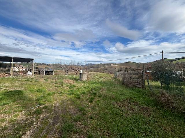 Terreno Agricolo in vendita a Offida