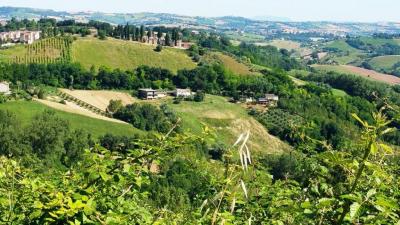 Casale colonico / Rustico in vendita a Montottone