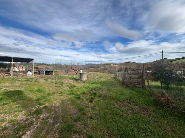 Terreno Agricolo in vendita a Offida