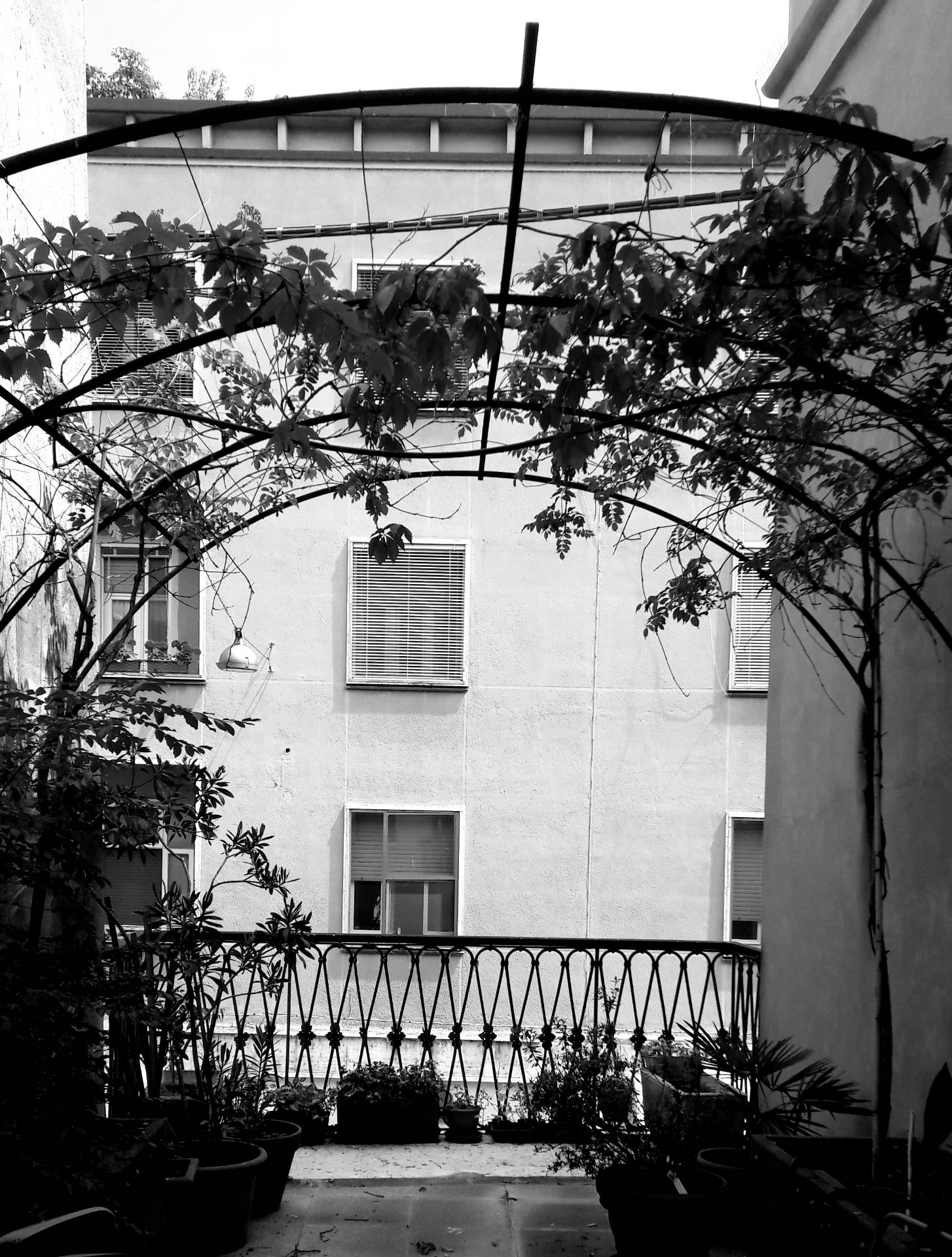 Villa Unifamiliare - Indipendente MANTOVA vendita  Centro storico  Iside Casa