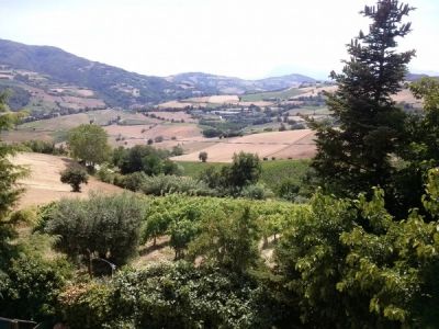 Rustico - Cascina MONTEDINOVE vendita    Casa Pi? immobiliare