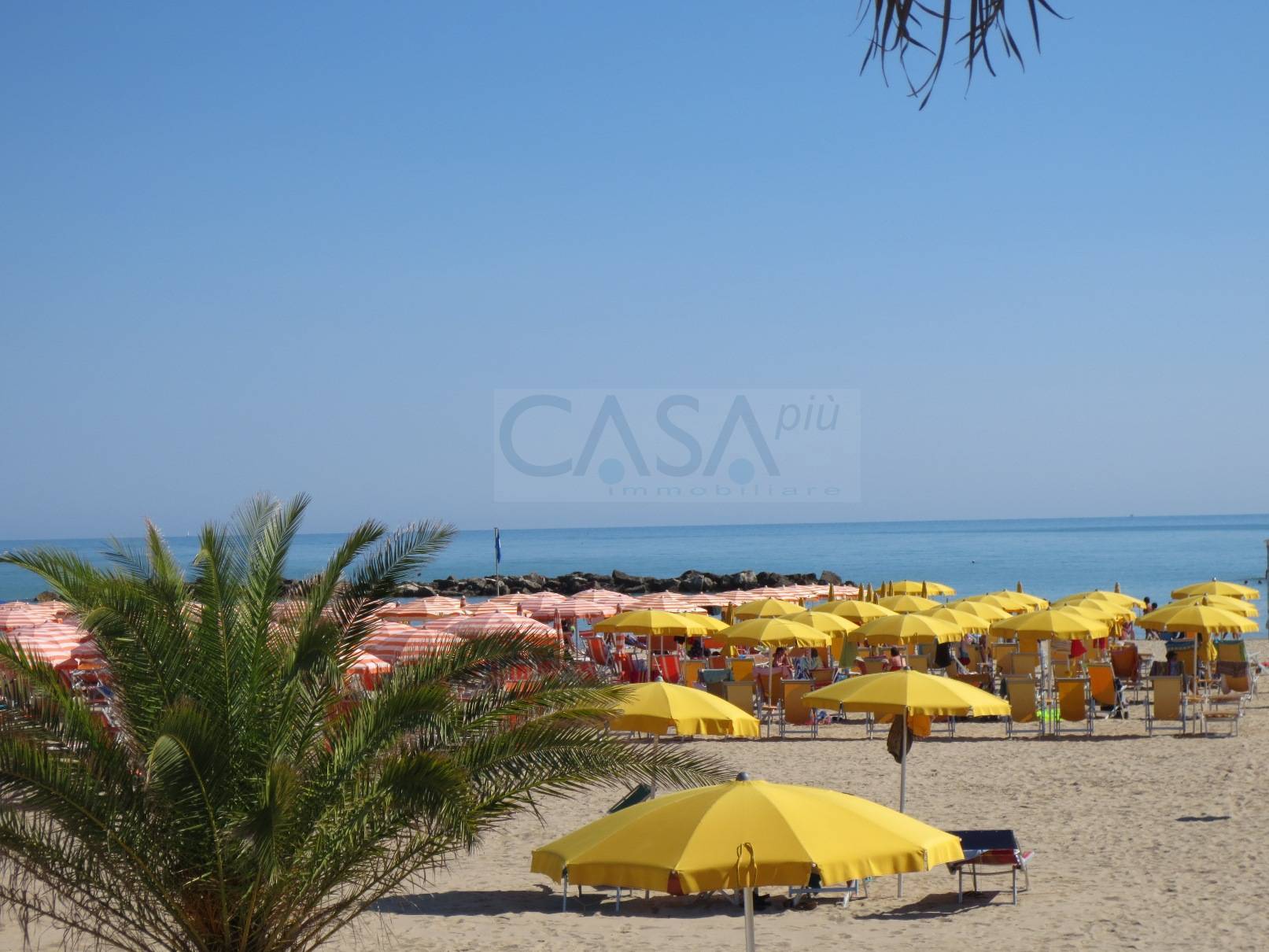 Appartamento SAN BENEDETTO DEL TRONTO vendita  Zona mare  Casa Pi? immobiliare