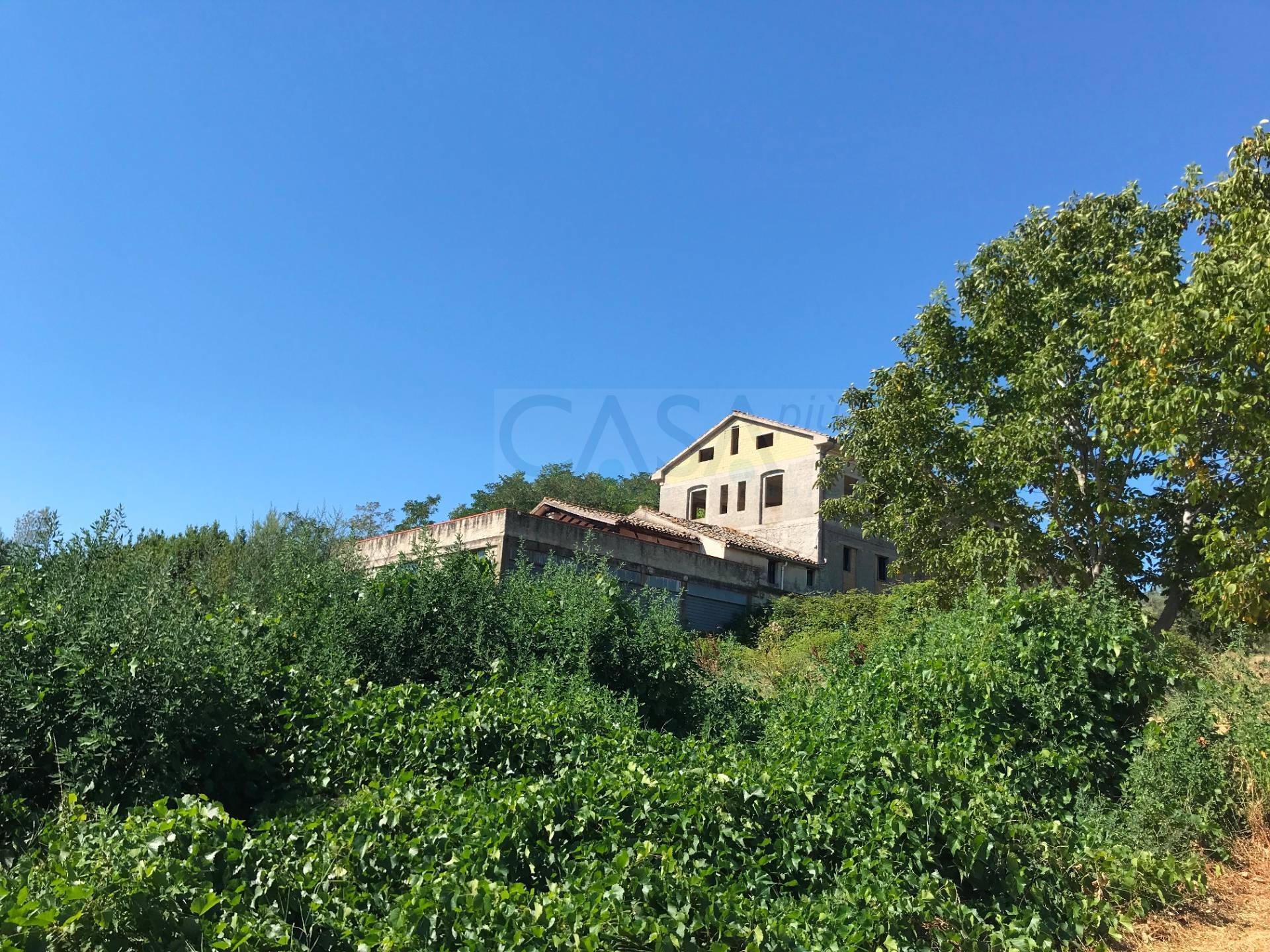 Rustico - Cascina ACQUAVIVA PICENA vendita    Casa Pi? immobiliare