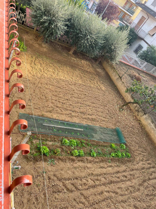 Casa indipendente in vendita a Stella Di Monsampolo, Monsampolo Del Tronto (AP)