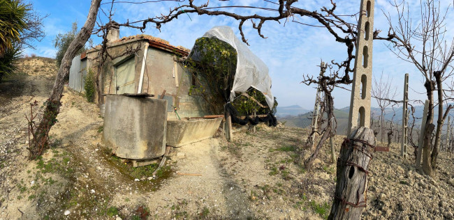 Terreno agricolo in vendita a Ripatransone (AP)