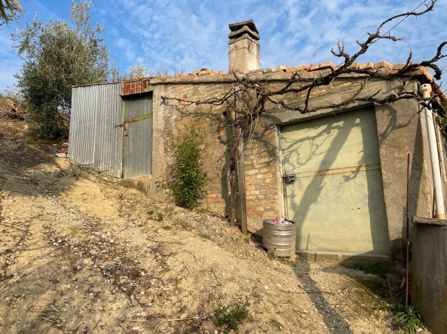 Terreno agricolo in vendita a Ripatransone (AP)