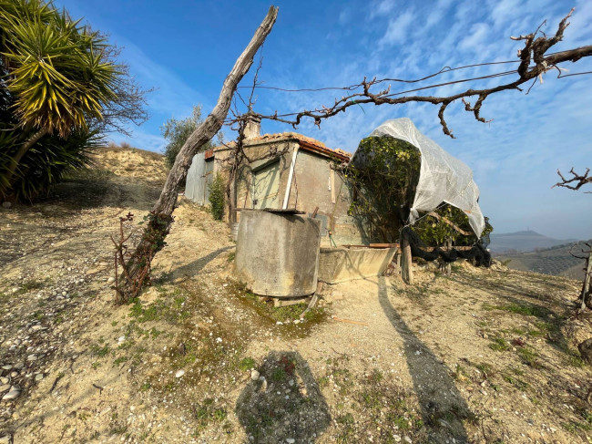 Terreno agricolo in vendita a Ripatransone (AP)