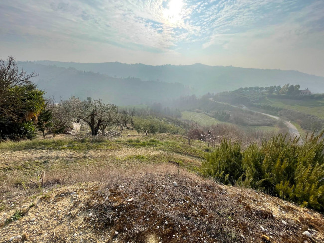 Terreno agricolo in vendita a Ripatransone (AP)