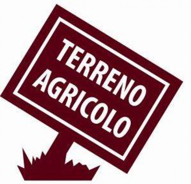 Terreno agricolo in vendita a Ripatransone (AP)