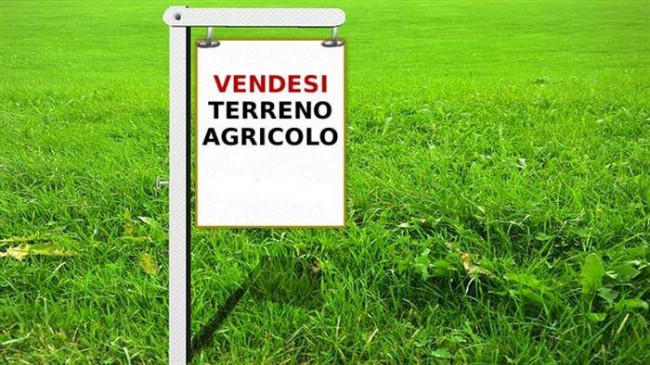 Terreno Agricolo in Vendita a Ripatransone