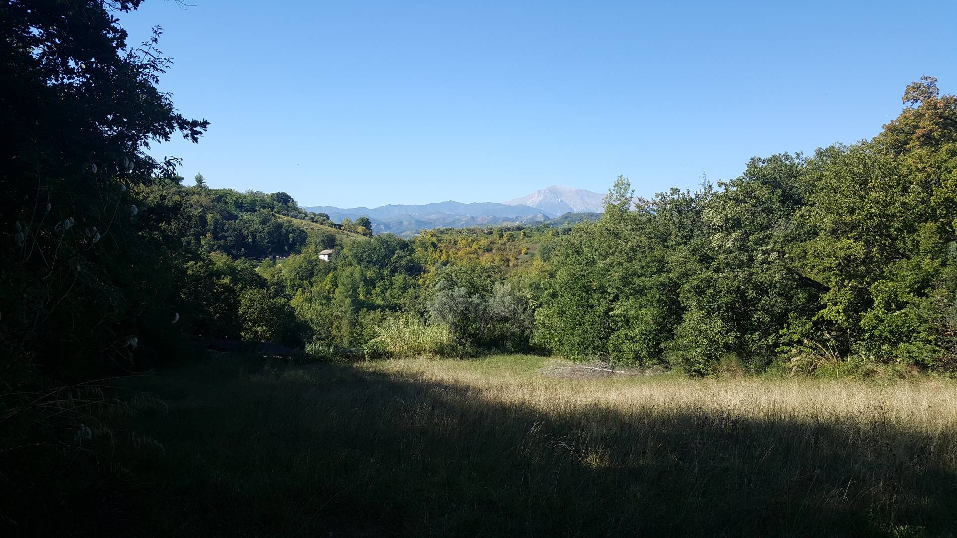 Terreno ASCOLI PICENO vendita  Valle Senzana  Aurea Immobiliare
