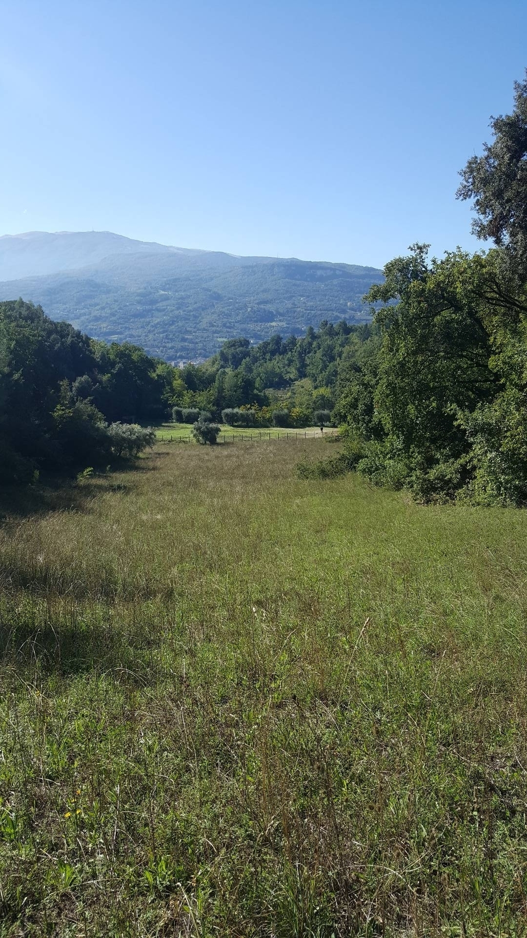  ascoli-piceno vendita quart: valle senzana aurea-immobiliare