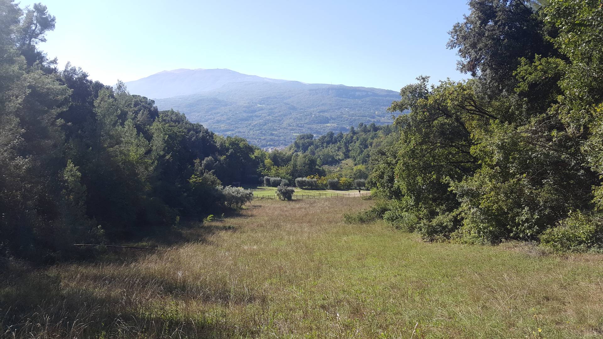 Terreno ASCOLI PICENO vendita  Valle Senzana  Aurea Immobiliare