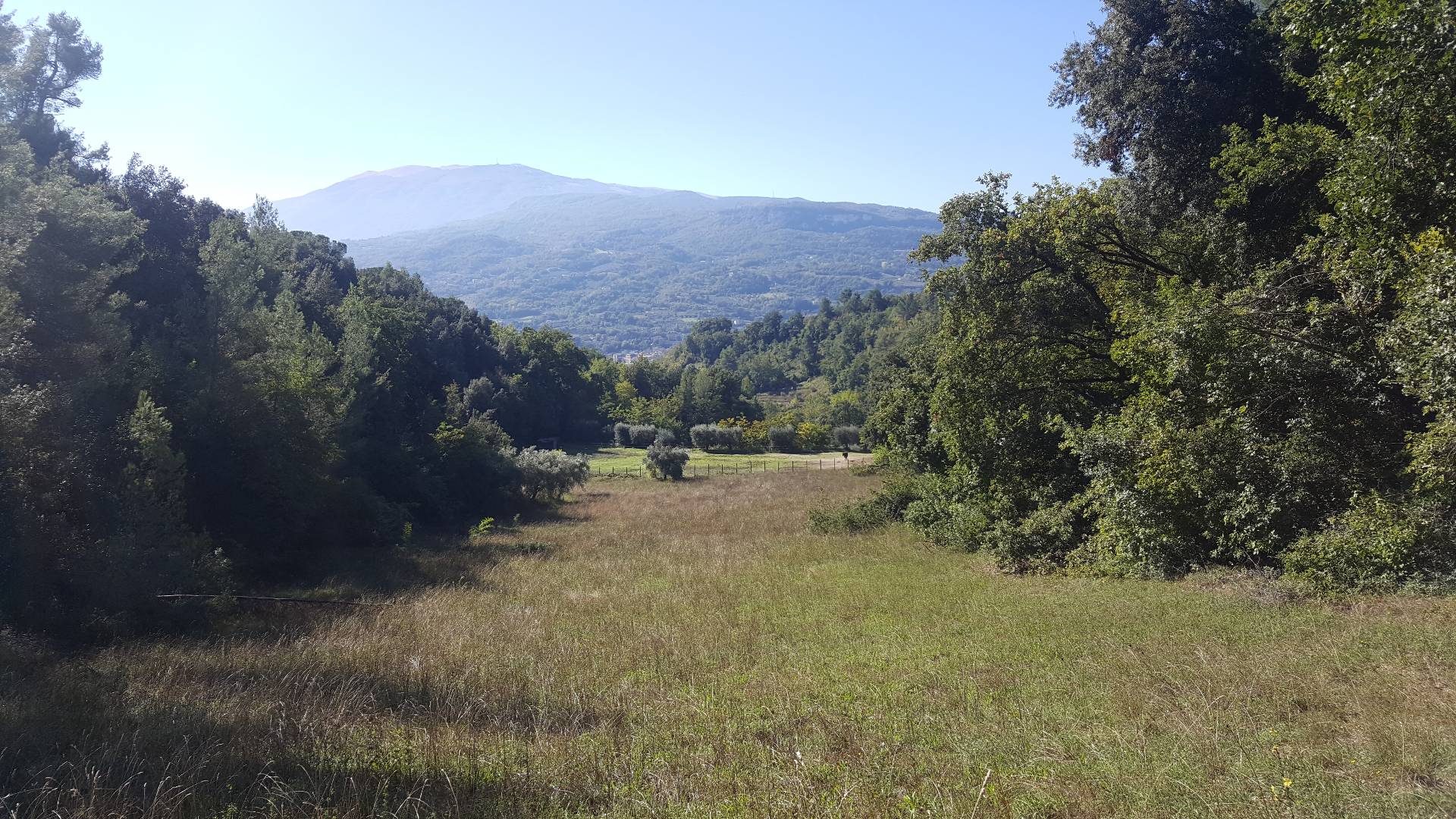 Terreno ASCOLI PICENO vendita  Valle Senzana  Aurea Immobiliare