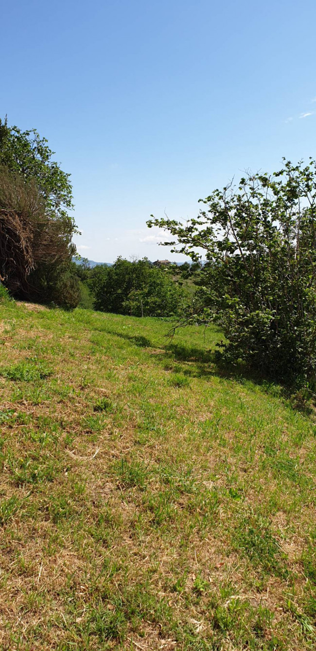 Appartamento in vendita a Roccafluvione (AP)