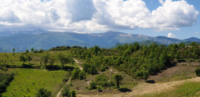 Appartamento in vendita a Roccafluvione (AP)