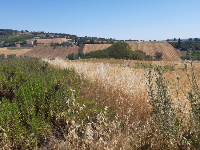 Magazzino in vendita a Civitanova Marche (MC)