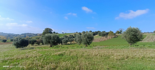 Terreno agricolo in vendita a Macerata (MC)