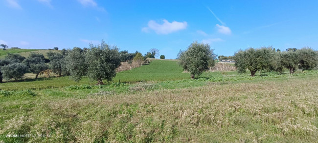 Terreno agricolo in vendita a Macerata (MC)