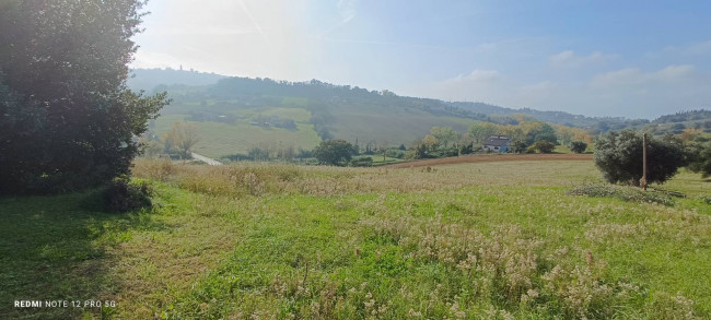 Terreno agricolo in vendita a Macerata (MC)