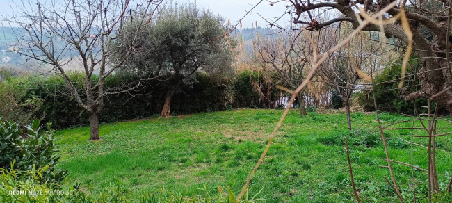Immobile