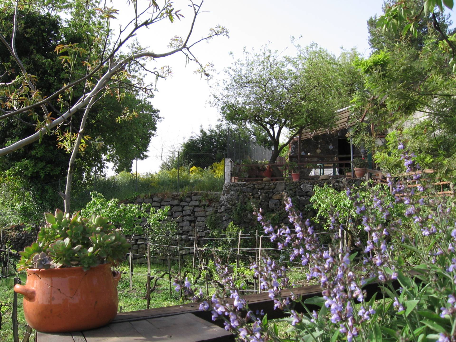  viagrande vendita quart:  intermedi-studio-aci-castello