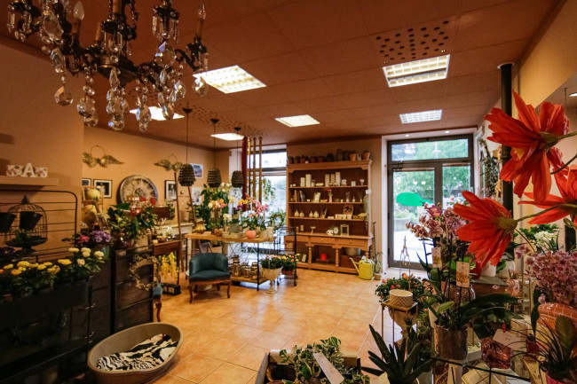 Attività commerciale