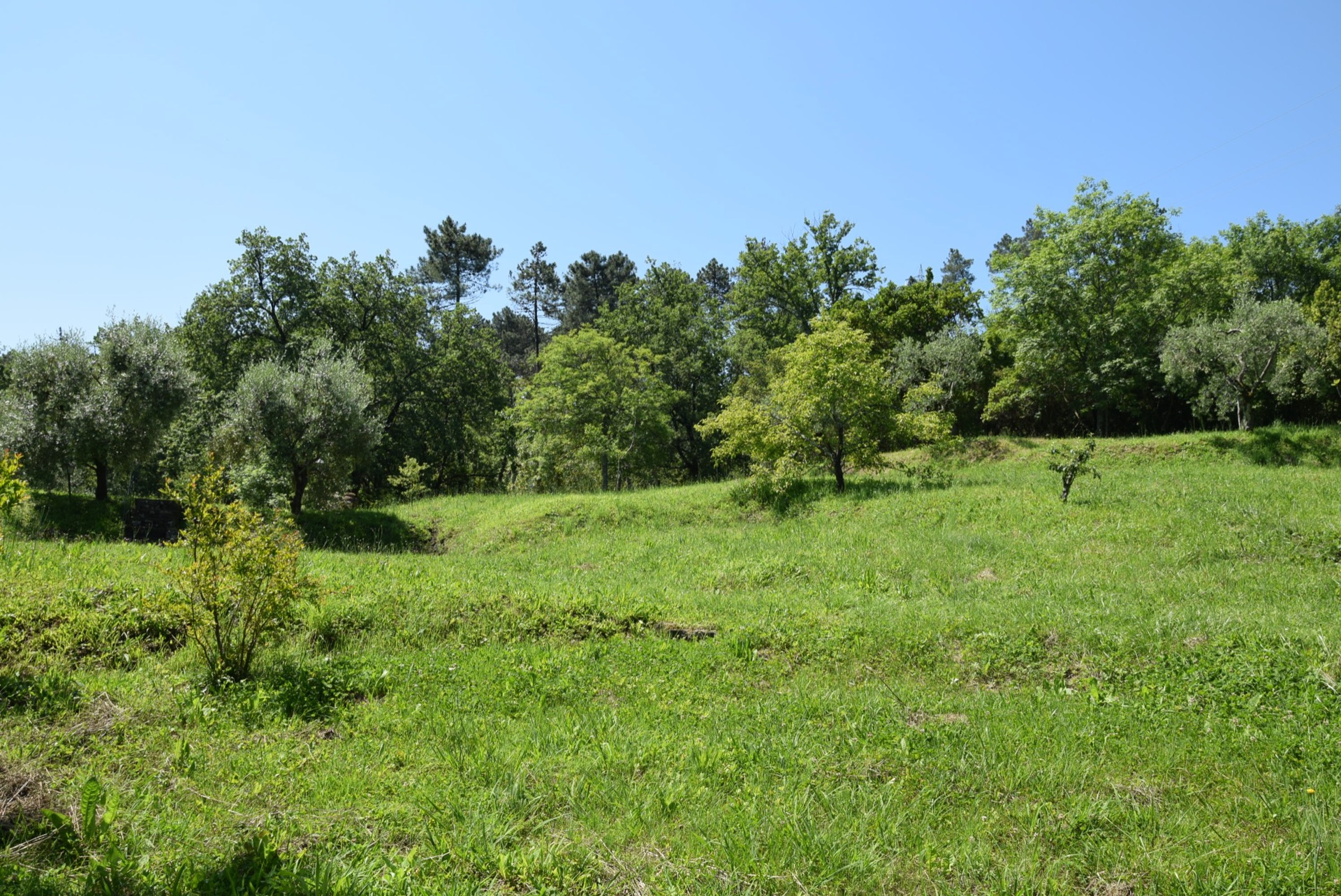 Rustico - Cascina LUCCA vendita  Colline  Easy Casa di Elisabetta Soldaini