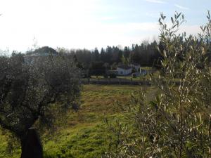 Rustico in vendita a Capannori