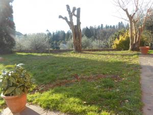 Rustico in vendita a Capannori