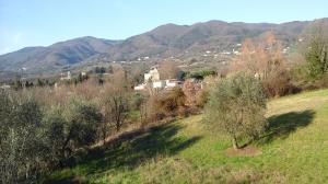 Rustico in vendita a Capannori
